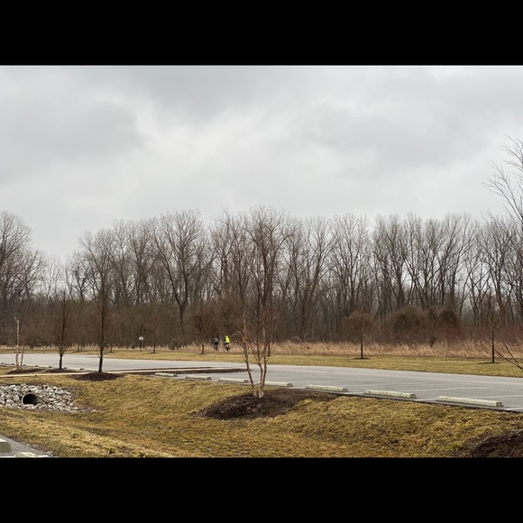 Meet your Posher, Roro - Picture 1 of 1